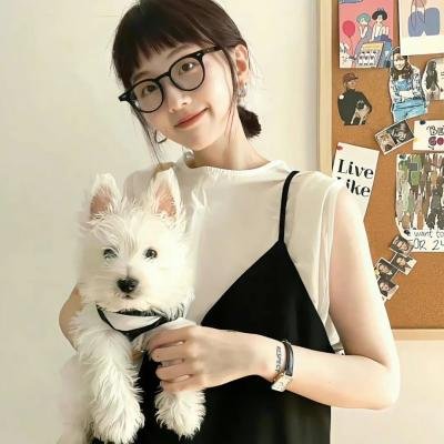 冬天的小苍蝇