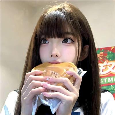 小象守护者
